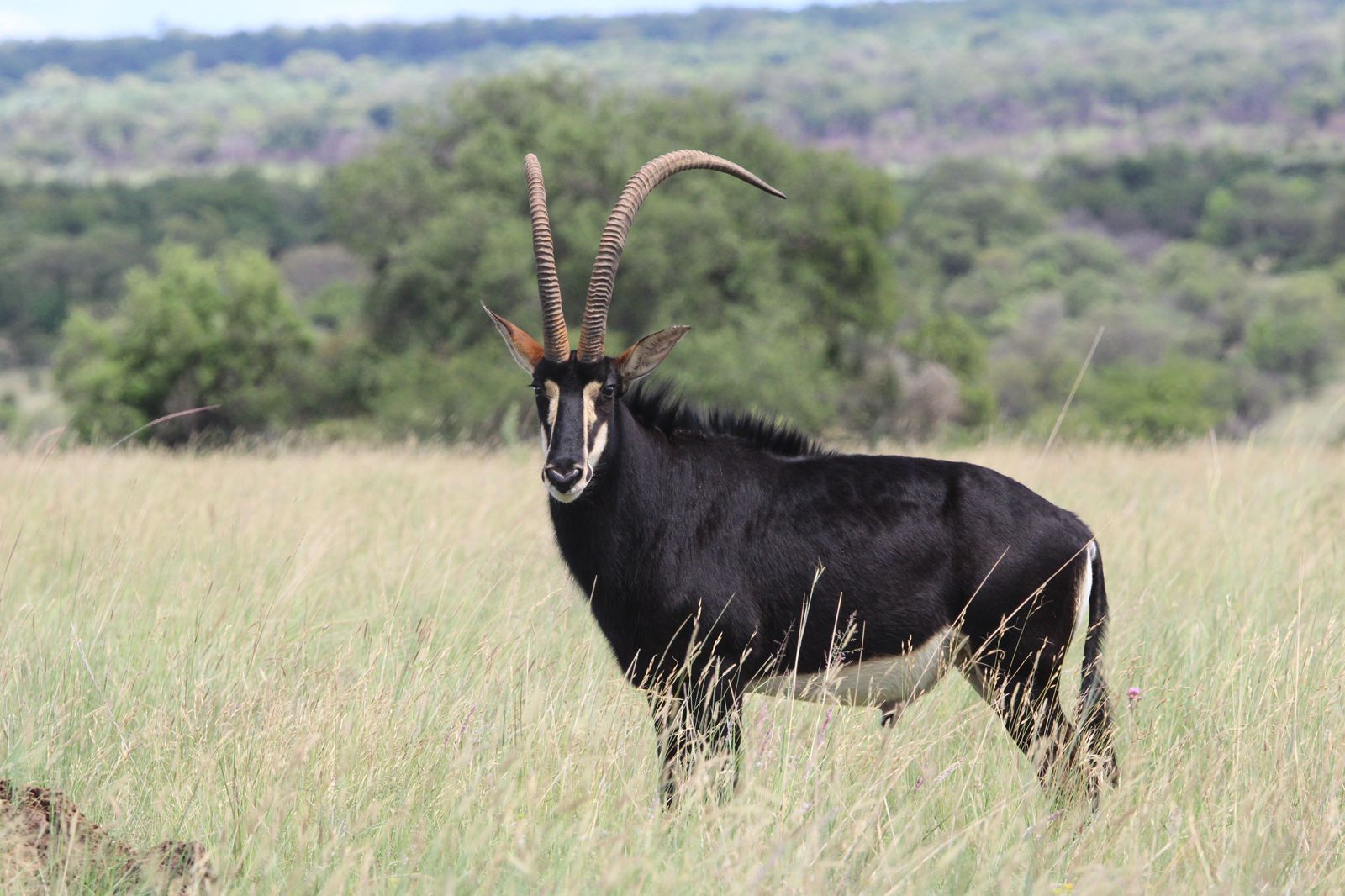 WhatsApp Image 2025-11-17 at 07.46.50_6744f165