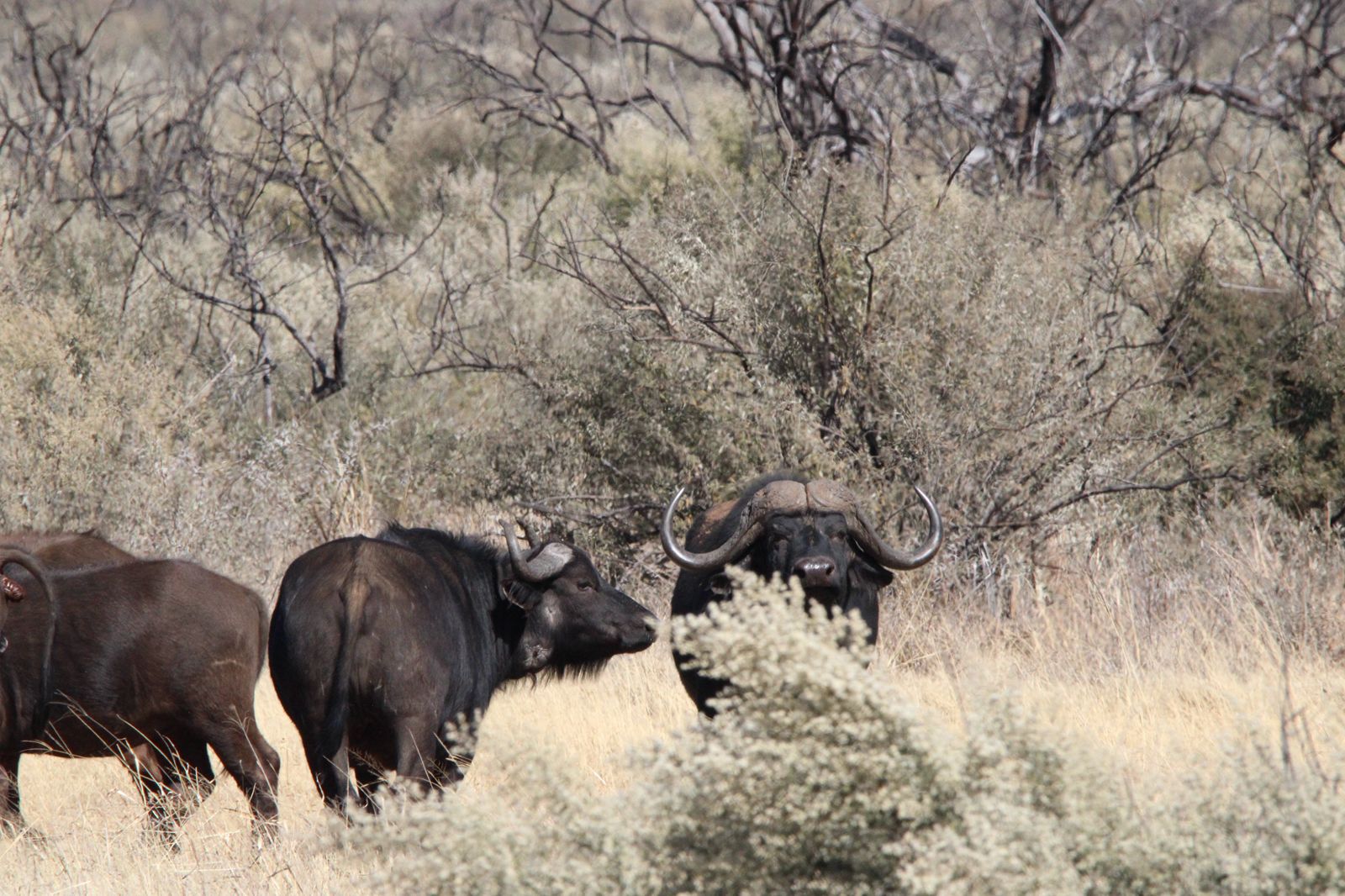 WhatsApp Image 2025-11-17 at 07.46.51_eba30363