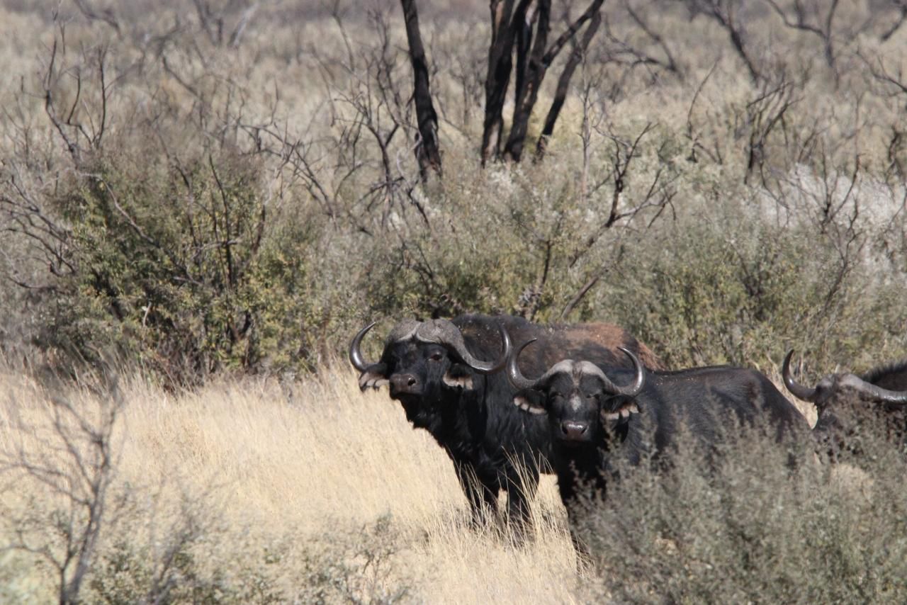 WhatsApp Image 2025-11-17 at 07.46.51_fc5cdf89