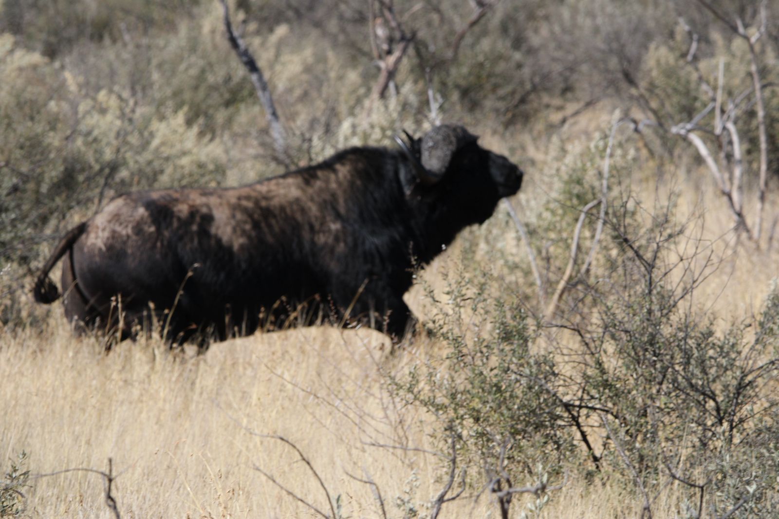 WhatsApp Image 2025-11-17 at 07.46.51_fc8644d0