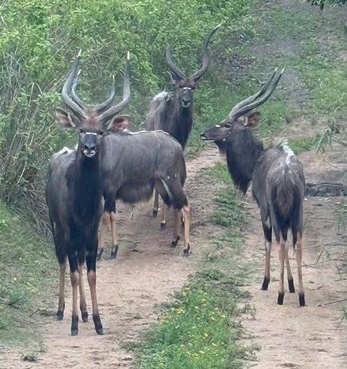 WhatsApp Image 2025-11-17 at 07.46.53_36ae872f