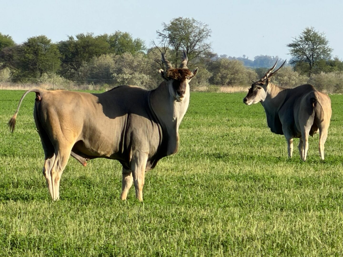 WhatsApp Image 2025-11-17 at 07.47.11_fd030643